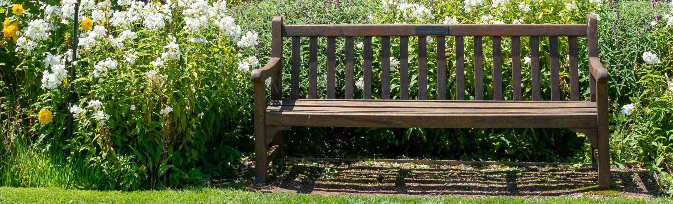 Bench with flowers